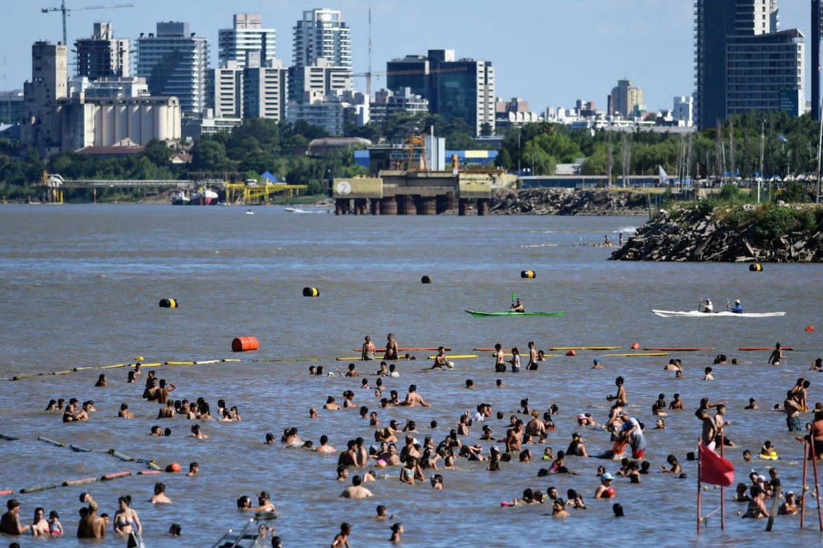 Por la bajante del río Paraná, consejos para evitar las palometas.