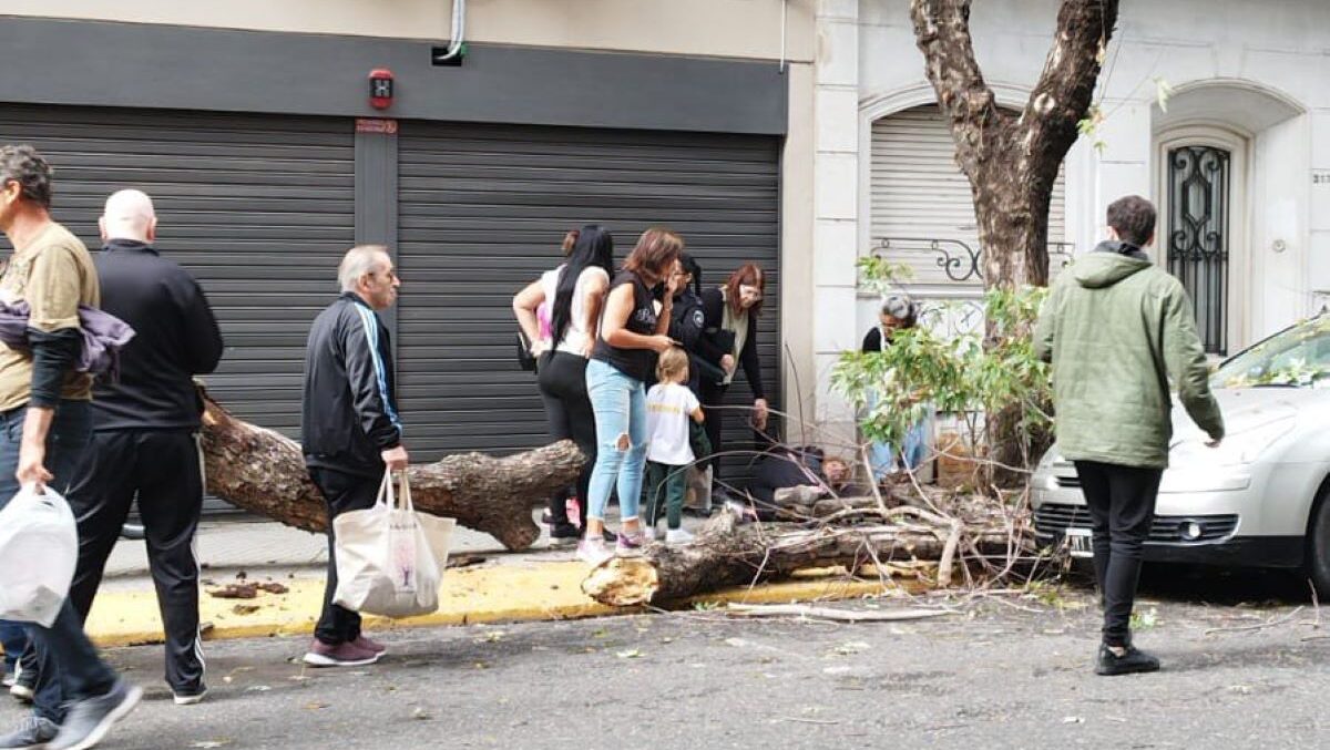 Un árbol cayó sobre una mujer cuando caminaba por la calle
